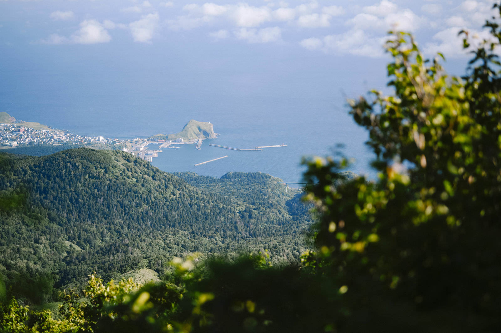 利尻岳の山頂から見下ろした鴛泊港と港湾施設、周囲の森林と青い海