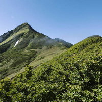 利尻山山頂へ続く緑の稜線を彩る夏の登山風景の写真