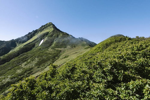 利尻山山頂へ続く緑の稜線を彩る夏の登山風景