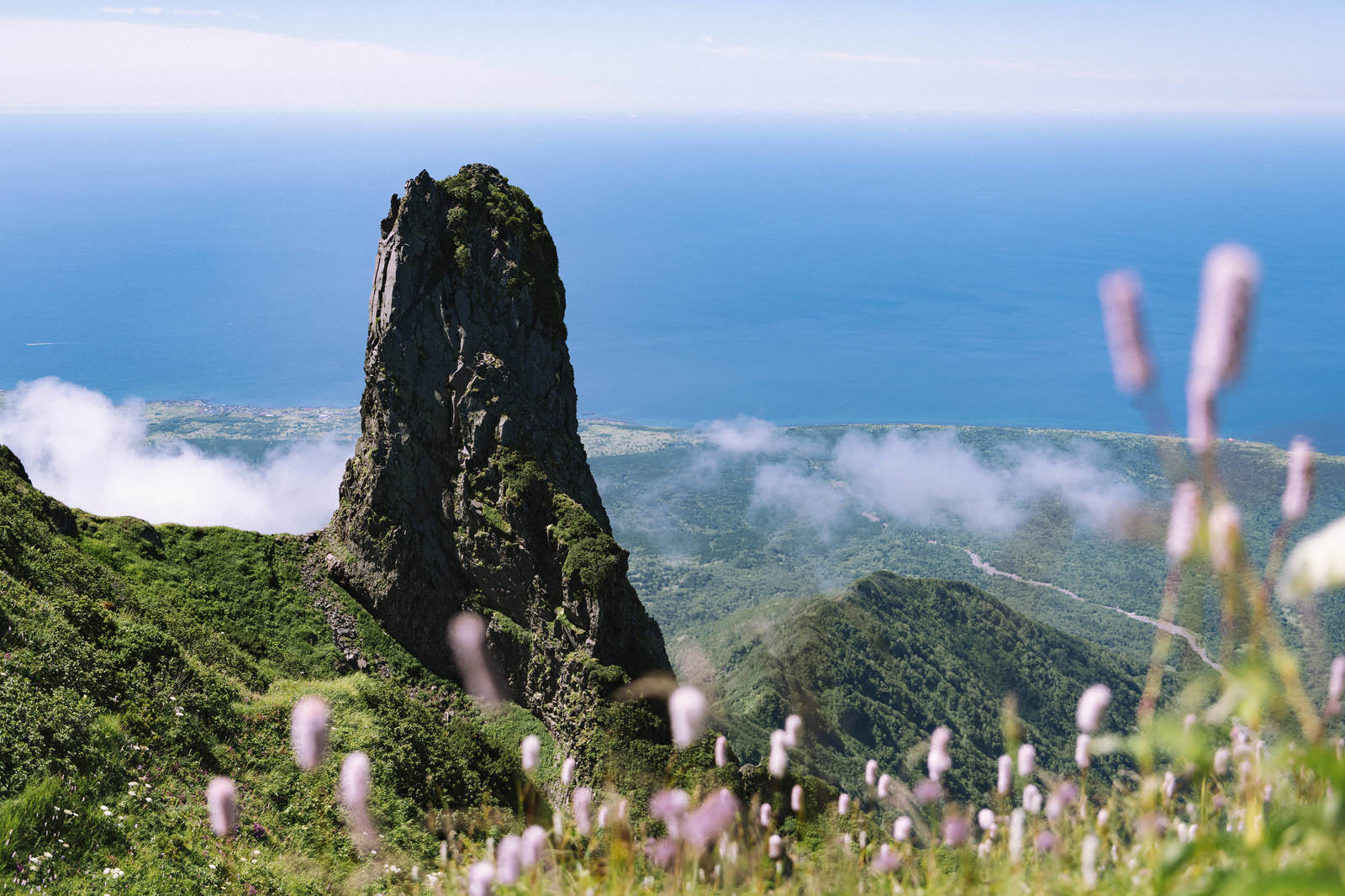 利尻岳のローソク岩から見た海と水平線、手前に咲くピンク花
