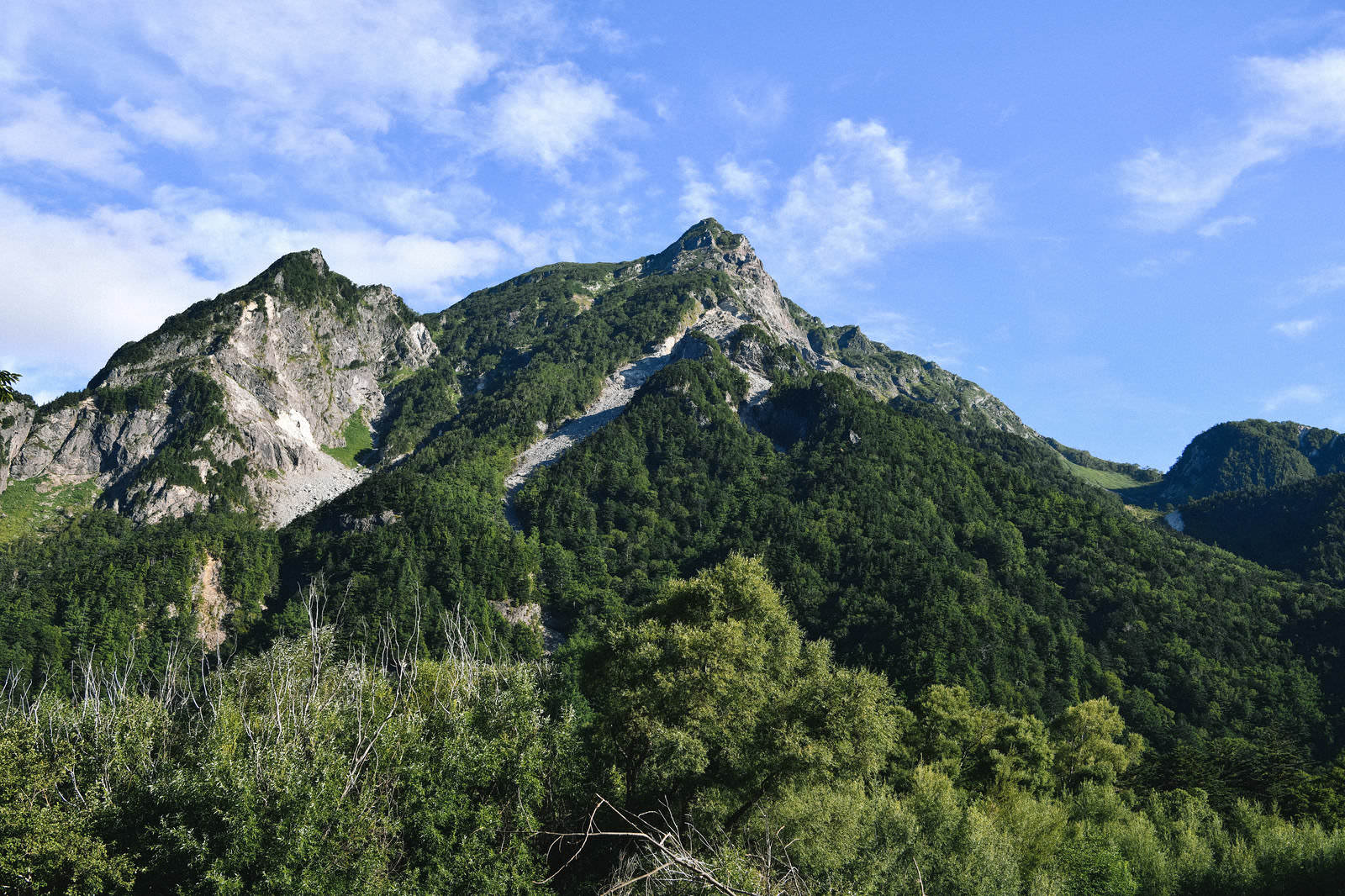 上高地から見上げる明神岳の山岳風景、緑の森林と青空
