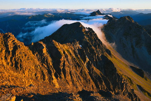 朝焼けに染まる奥穂高岳の山々と雲海、登山の絶景