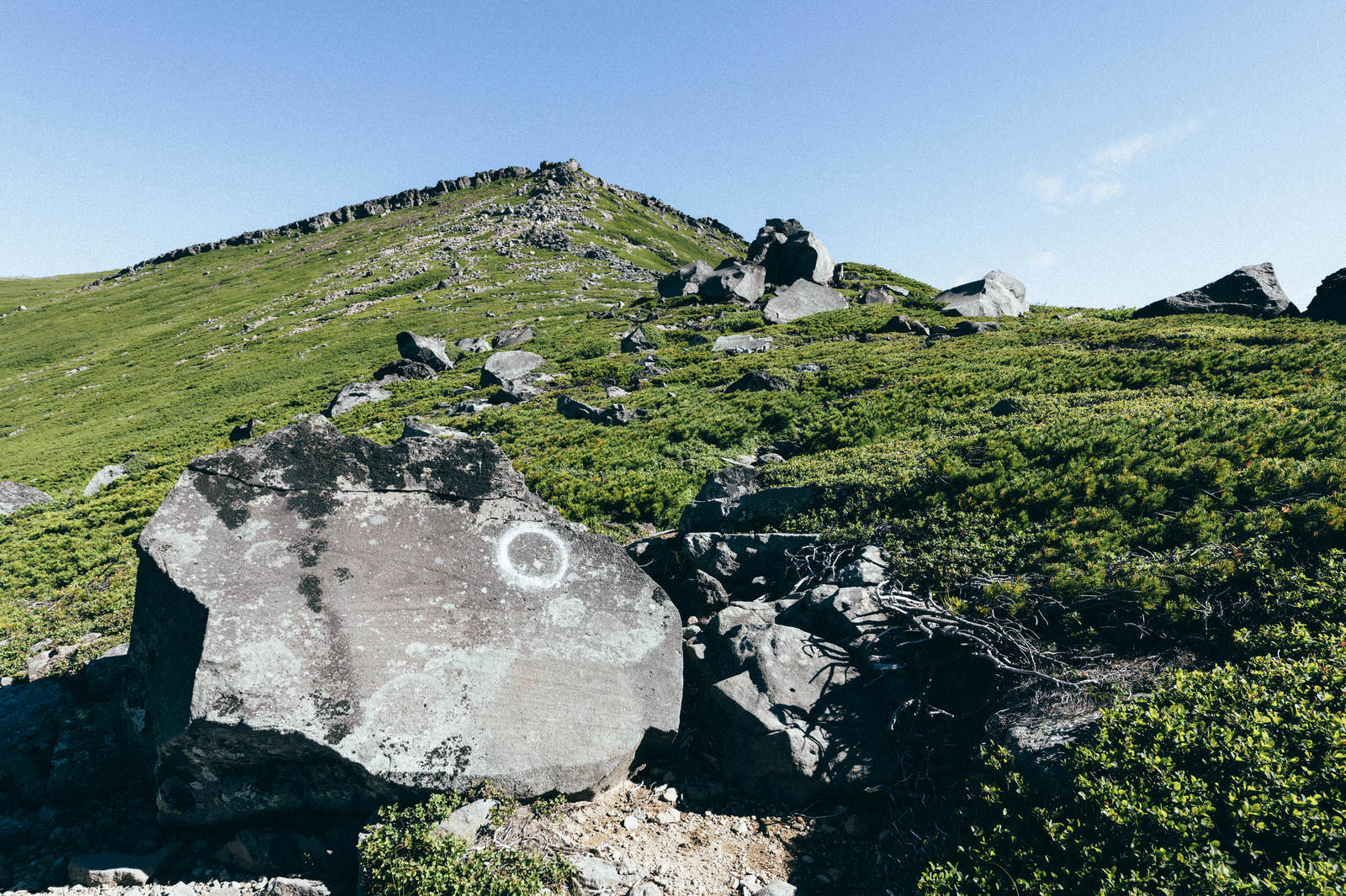 継子岳登山道の岩場と高山植物、青空が広がる山岳風景