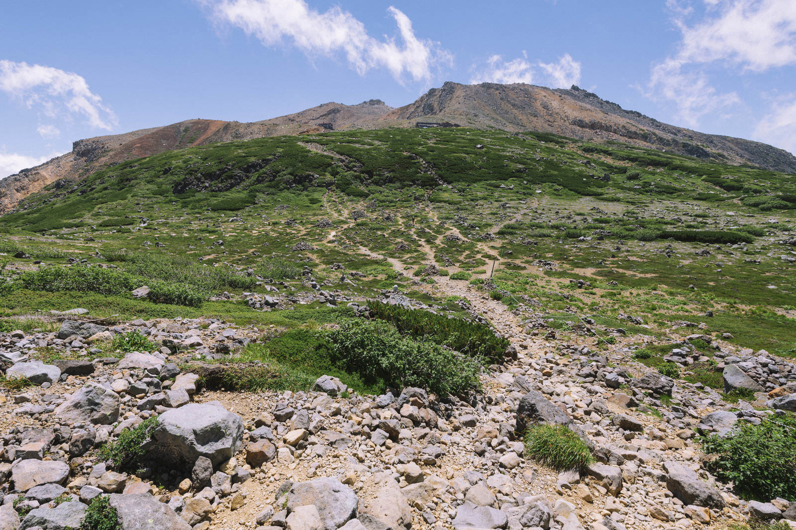 御嶽山の山裾に緑の高山植物が生い茂り、登山道が草地を横切る風景
