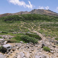御嶽山の賽の河原から見る剣ヶ峰方面の山裾と高山植物の写真