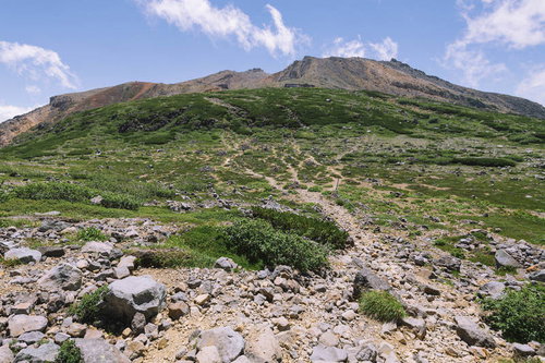 御嶽山の賽の河原から見る剣ヶ峰方面の山裾と高山植物