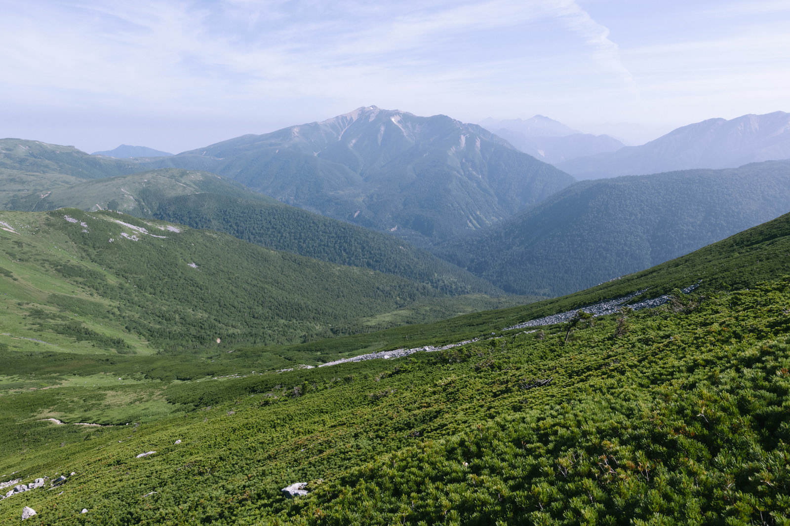 北アルプス西部の緑に覆われた山々と薬師岳、黒部五郎岳を望む高地からの風景