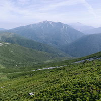 みどりに覆われた北アルプス西部、薬師岳と黒部五郎岳の山々の写真
