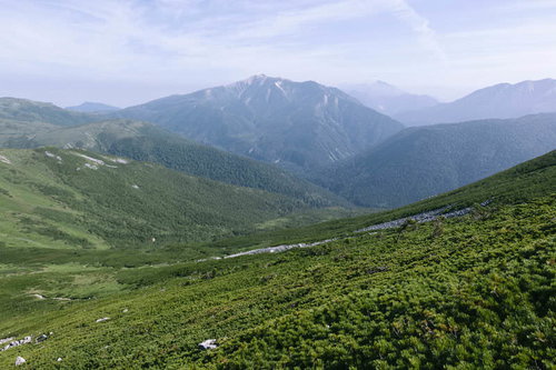みどりに覆われた北アルプス西部、薬師岳と黒部五郎岳の山々