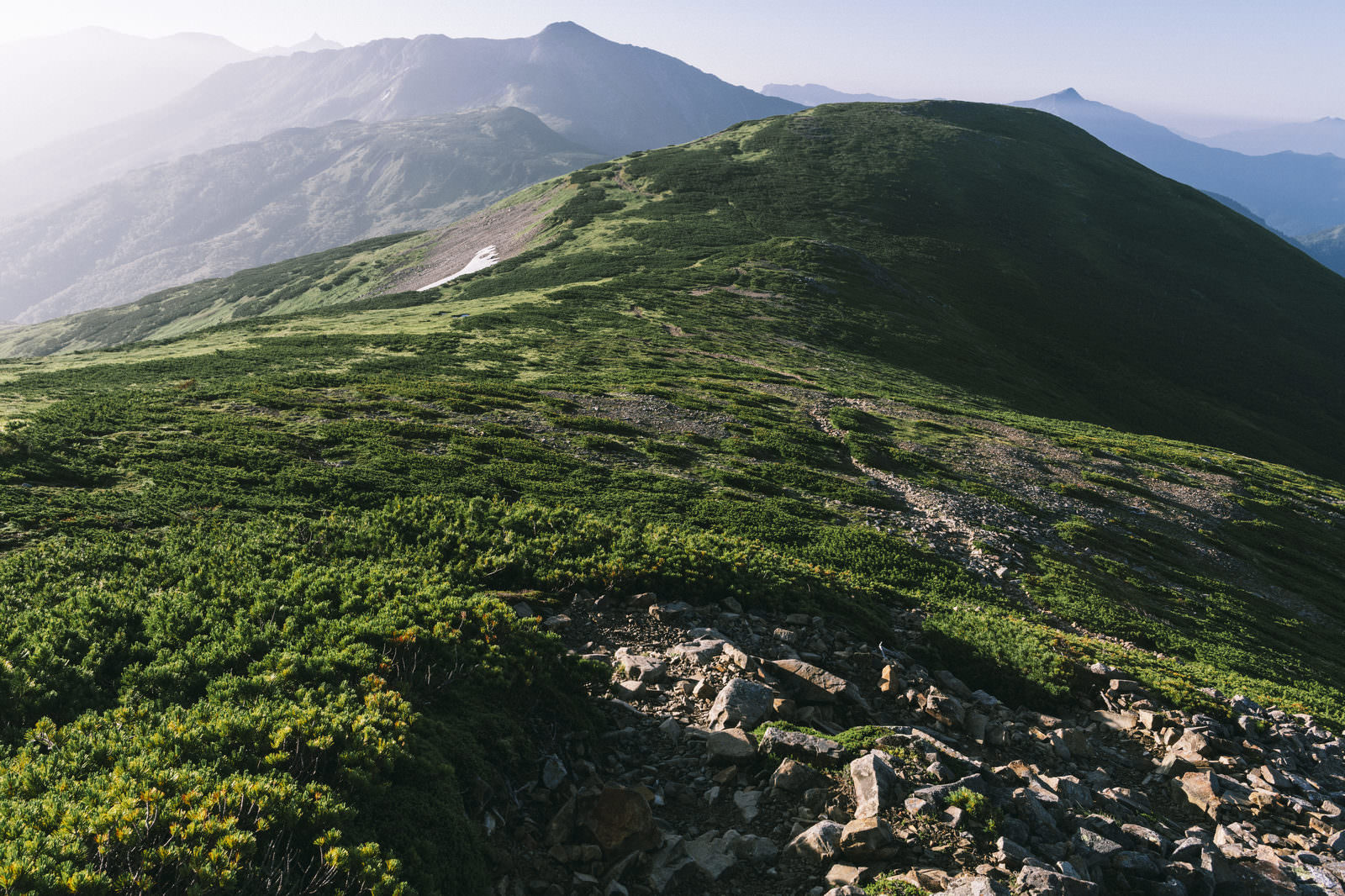 黒部五郎岳への登山道。緑の草地と奥に連なる複数の山々