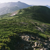 北ノ股岳から見る黒部五郎岳の登山道と高山植物の眺望の写真