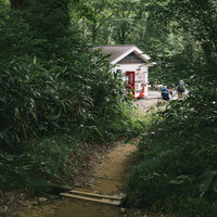 折立登山口から黒部五郎岳へ向かう登山道の風景の写真