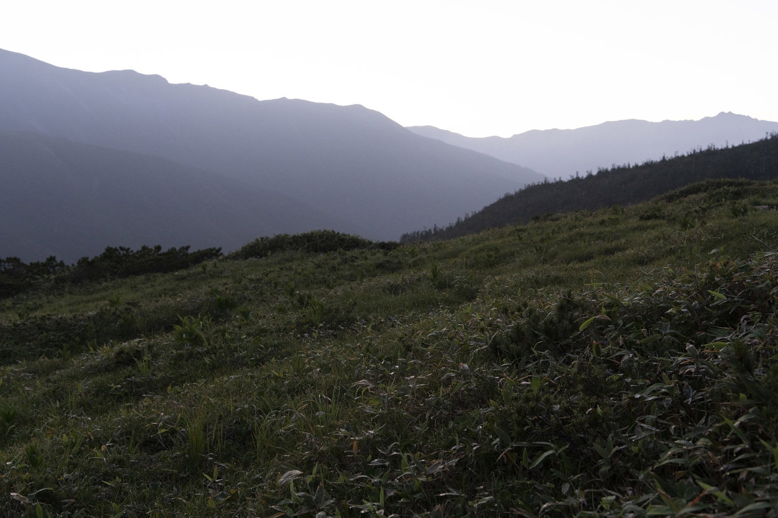 霞がかかる黒部五郎岳の峡谷を望む太郎平高原の広大な草地