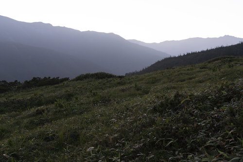 早朝の太郎平高原と黒部五郎岳の峡谷を望む山々の風景