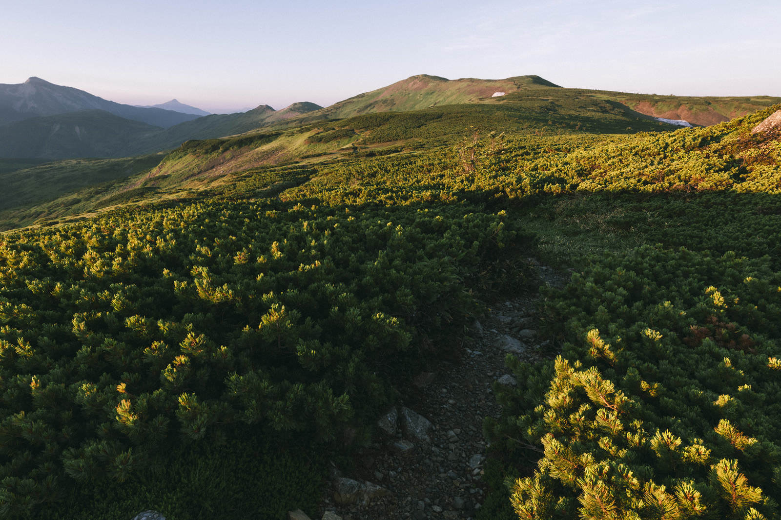 The ridgeline of Taroubei and the dwarf pine-covered plateau, illuminated by the morning sun
