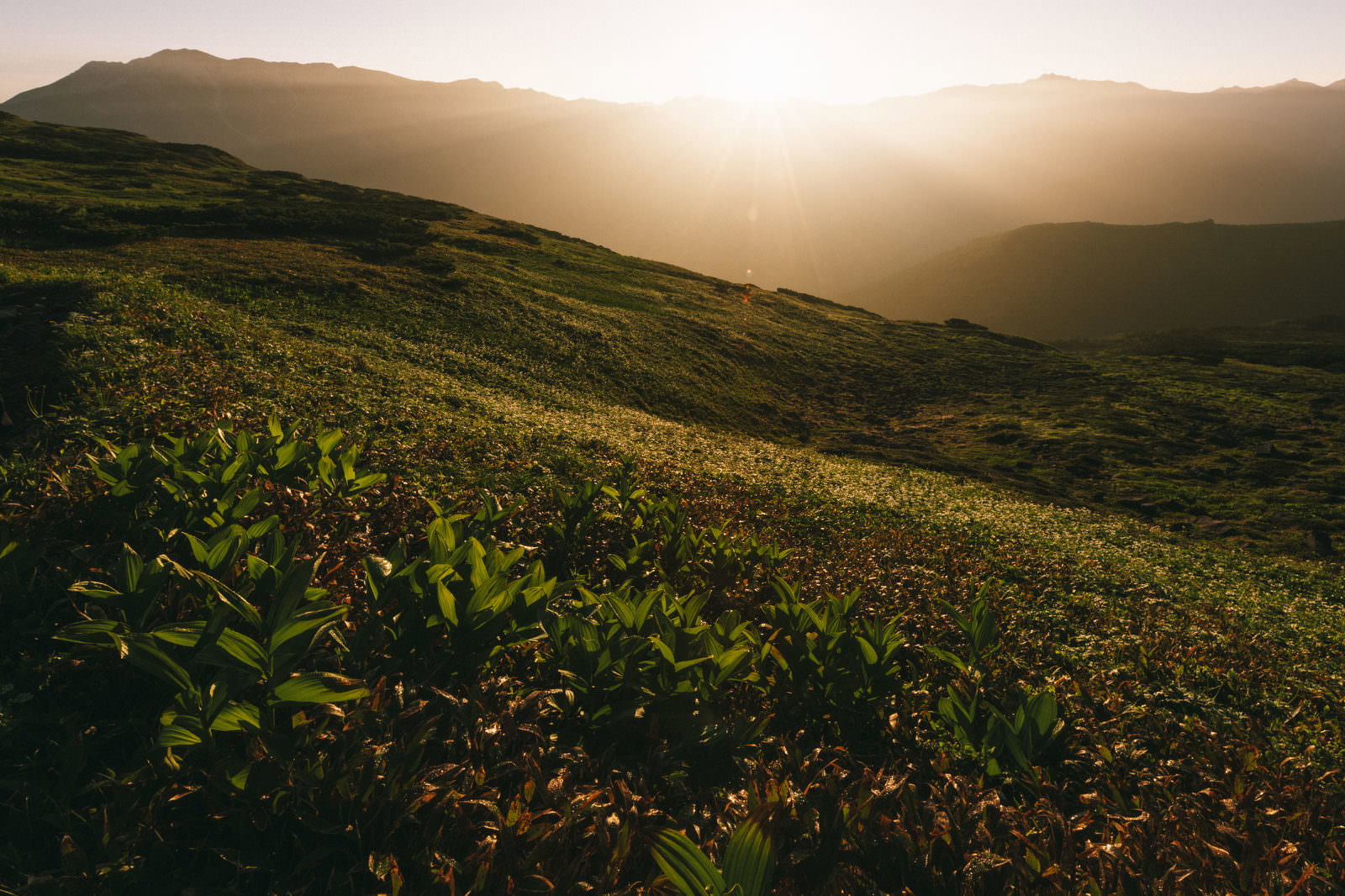 The high moor of Black Gorō Peak with the silhouettes of mountains under the morning sun