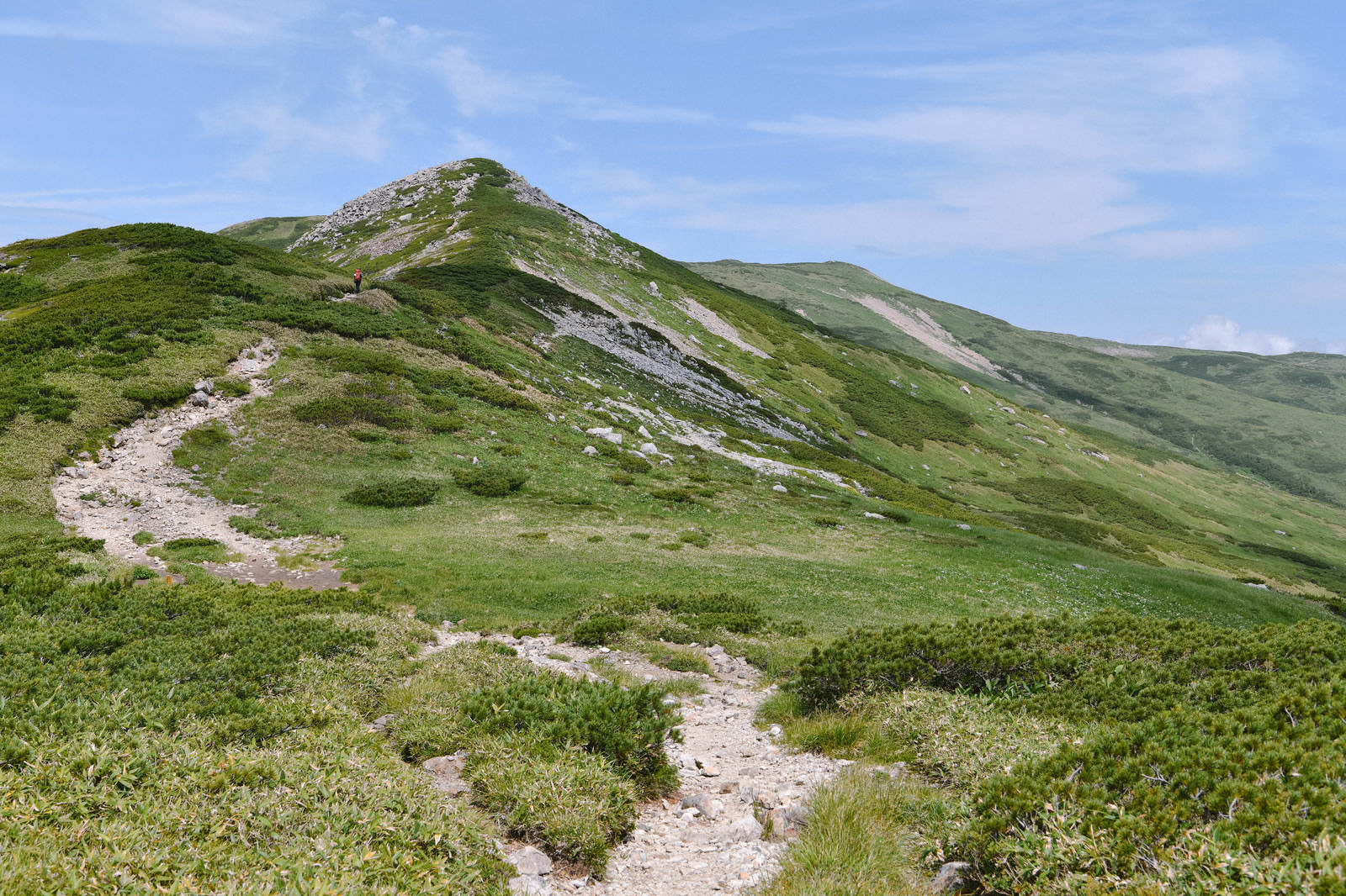 日本百名山・黒部五郎岳の登山道を撮影した写真。緑に囲まれた歩道が奥へ続き、山頂が見える