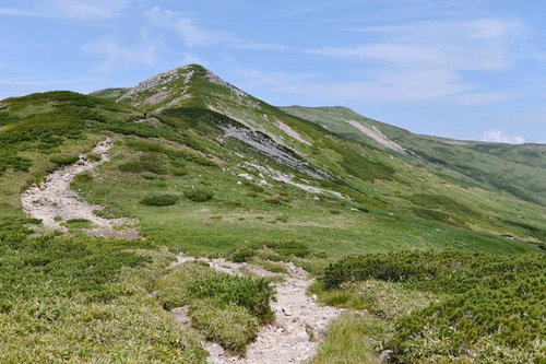 穏やかな登山道が続く黒部五郎岳周辺の赤木岳