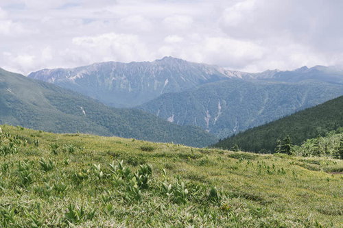 赤木平から眺める黒部五郎岳と北ア中央部の峰々