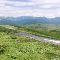 赤木平周辺の緑草原と登山道から望む黒部五郎岳の山岳風景の写真