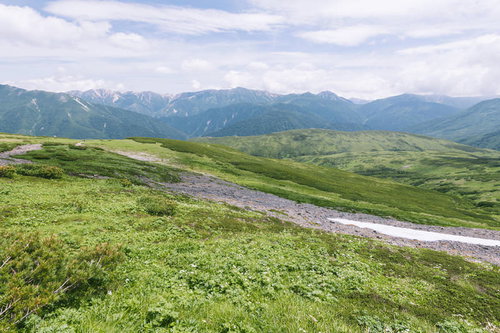 赤木平周辺の緑草原と登山道から望む黒部五郎岳の山岳風景