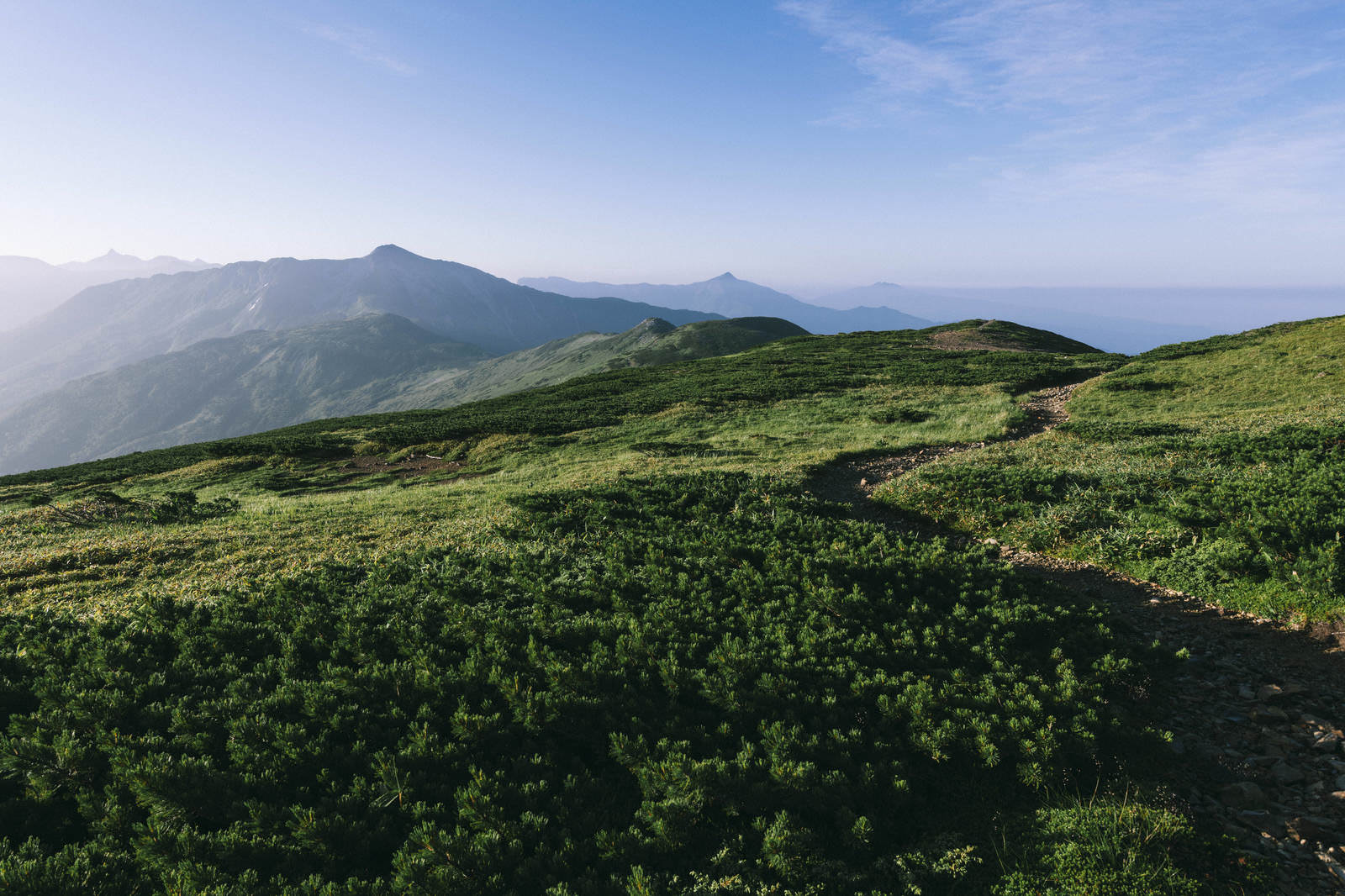 黒部五郎岳へ向かう稜線で、奥に連なる山々と青空が見える