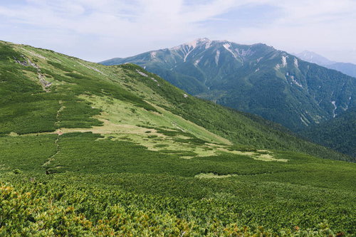 緑に覆われた斜面と雪を頂く黒部五郎岳の景観