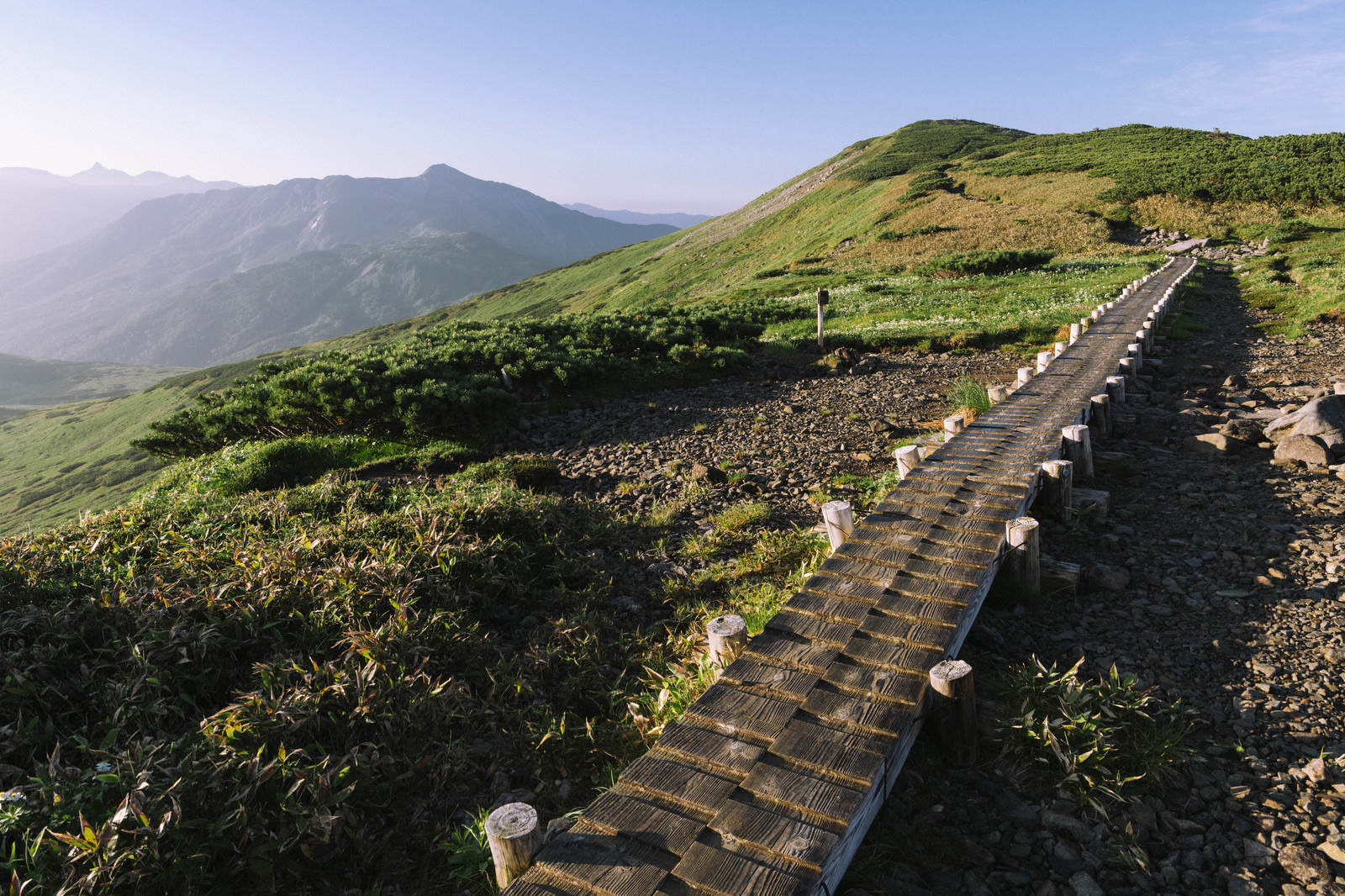 黒部五郎岳への登山道。白いマーカー付きの木道が山々の景色の中を続く