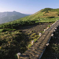 黒部五郎岳へと向かう木道と山々の景観、高山植物が茂る登山道の写真