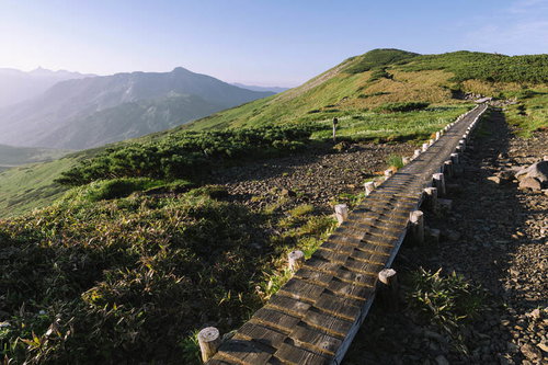 黒部五郎岳へと向かう木道と山々の景観、高山植物が茂る登山道