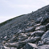 黒部五郎岳山頂直下の急勾配ガレ場を登る登山者の写真