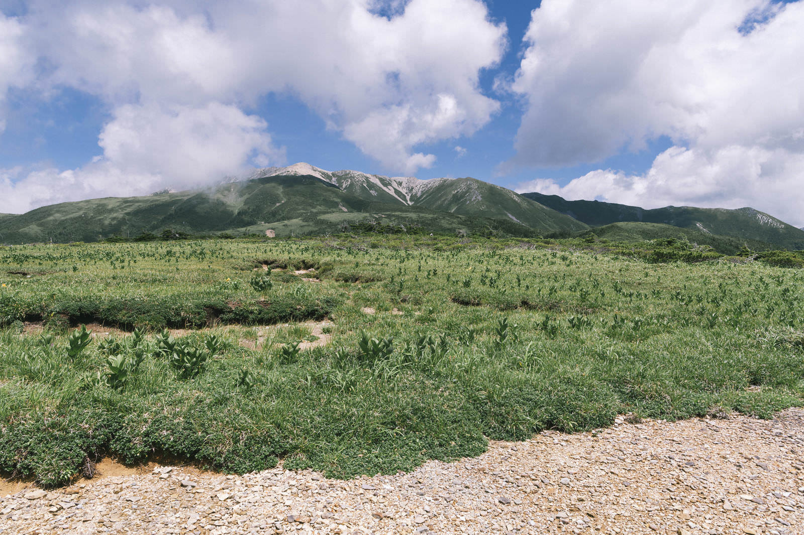 太郎平高原の緑の農地を前景に薬師岳が聳える山岳風景