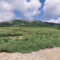 太郎平高原から見る薬師岳と北アルプスの雪景色の写真
