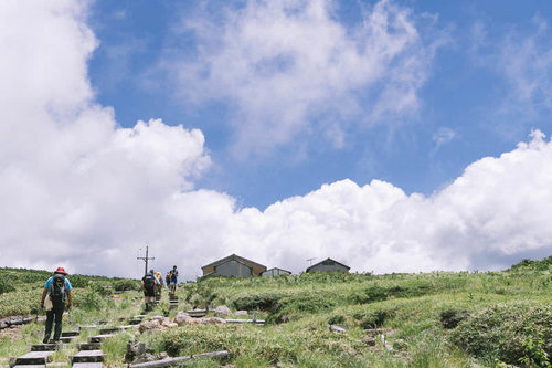薬師岳の太郎平小屋へ向かう登山者たちの山道トレッキング風景