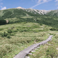 木道の先に見える薬師岳と高原の風景、日本百名山の雄姿の写真