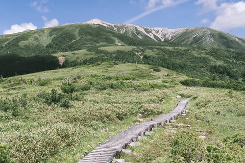 木道の先に見える薬師岳と高原の風景、日本百名山の雄姿