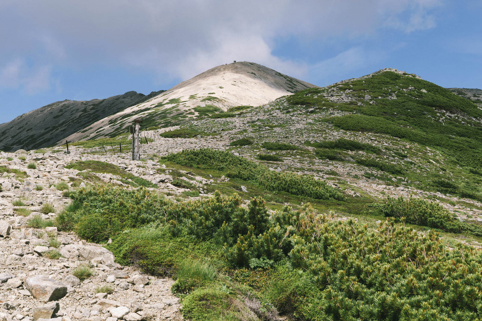 薬師岳中腹から見た山頂方面の稜線とガレ場、ハイマツ帯