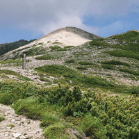 薬師岳中腹から山頂方面を眺める稜線とガレ場の写真