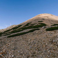 薬師岳山頂付近に広がる砂礫の大地と高山植生の写真