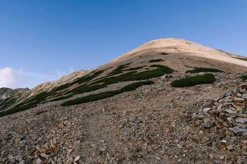 薬師岳山頂付近に広がる砂礫の大地と高山植生