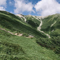 薬師岳の中腹から山頂方面を見上げる緑の尾根の写真