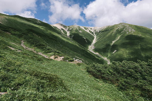 薬師岳の中腹から山頂方面を見上げる緑の尾根