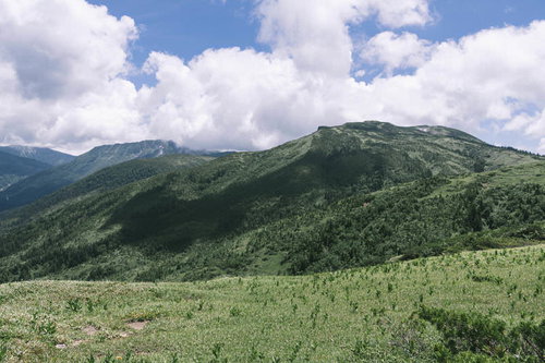 雲に覆われた薬師岳と黒部五郎岳の尾根を望む北アルプスの山岳風景