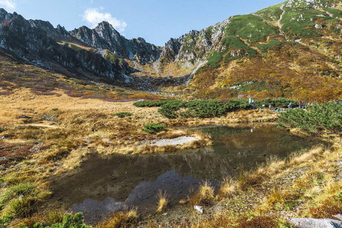秋の千畳敷カール、黄金色の草紅葉に映える木曽駒ヶ岳の氷河地形