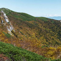 黄葉と紅葉に染まる中央アルプス木曽駒ヶ岳の秋の稜線の写真