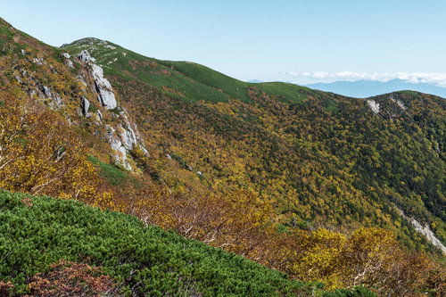 黄葉と紅葉に染まる中央アルプス木曽駒ヶ岳の秋の稜線