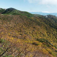 秋の中央アルプス、木曽駒ヶ岳を染める黄葉の山並みの写真