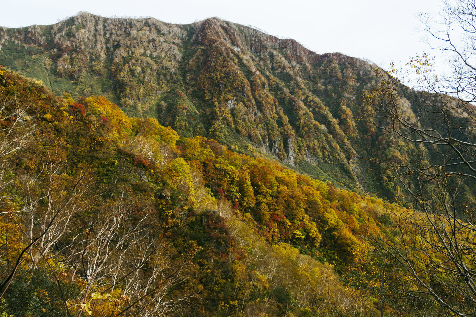 妙高山の外輪山と黄葉した山肌を捉えた秋の山岳風景