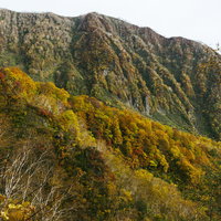 妙高山の外輪と秋の黄葉に染まる山肌の写真