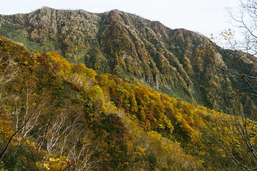 妙高山の外輪と秋の黄葉に染まる山肌
